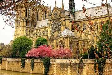 Cathédrale Notre Dame de Paris