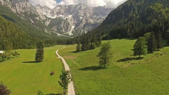 Kategoriebild für Natur