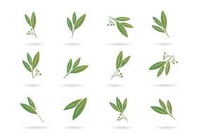 Free Eucalyptus Icons vector