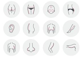 Cirugía plástica de la belleza libre de la mujer vector