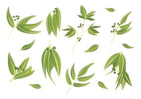 Free Eucalyptus Icons vector