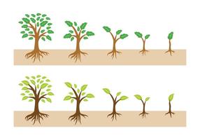 Albero in crescita con radici Vector