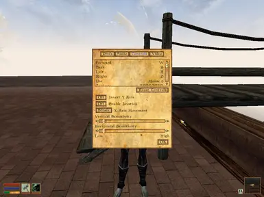 Oblivion Style Interface