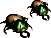 Scarabs