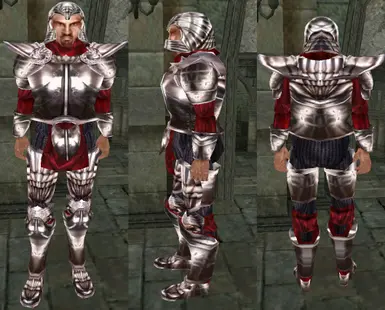 Imperial Silver Armor Resource