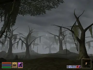 Morrowind Region Fix