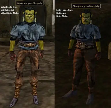 Shargam gro-Shagdulg clothes with and without mod