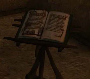 New open book ingame