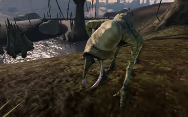 Morrowind 2016 02 05 00 04 56 689