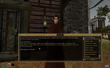 Yet Another Morrowind Plugin Translator