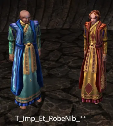 Extravagant Nibenese Robes