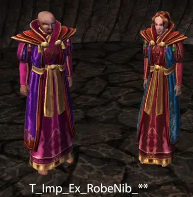 Exquisite Nibenese Robes