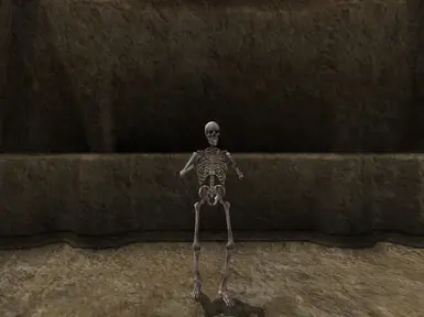 skeleton2