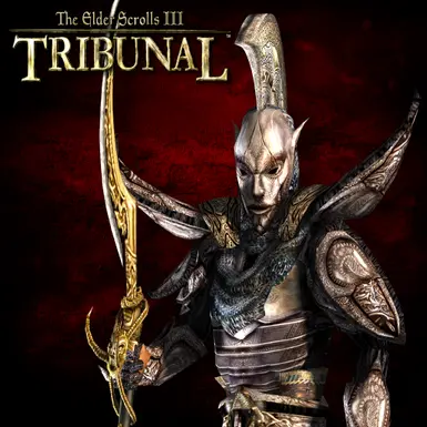 (TRIBUNAL) Splash IX - 'Nerevar Guard (Ordinator?)' (Image borked due to cropping for mod header.)