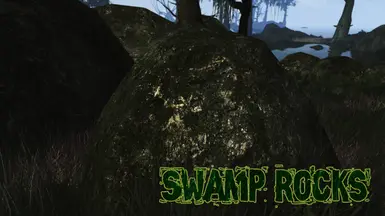 Swamp Rocks