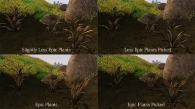 Epic Plants Versions Will be Available on Epic Plants Download Page