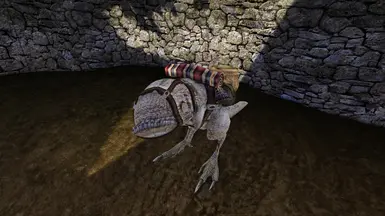 Ain't that a cute little Guar?