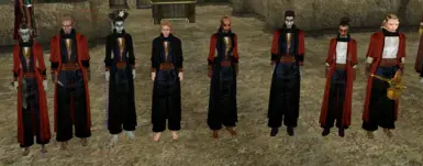 v1.2 new robes