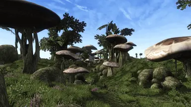 Mid Mushroom Overhaul