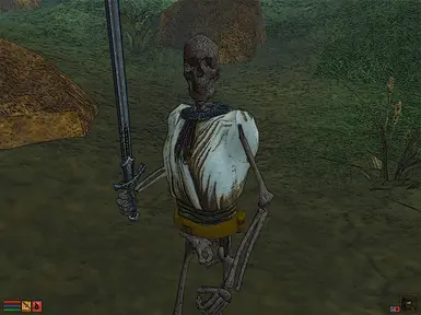 Playable Skeleton Race