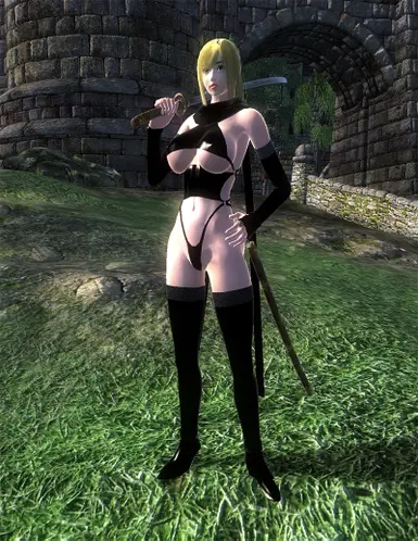 Sexy Kunoichi Armor Set for HGEC