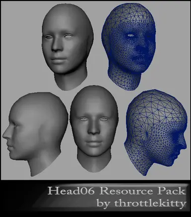 Head06 Resource Pack