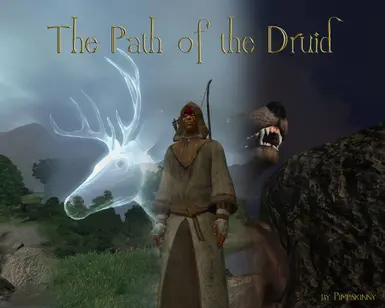 Druid Mod - Old Version