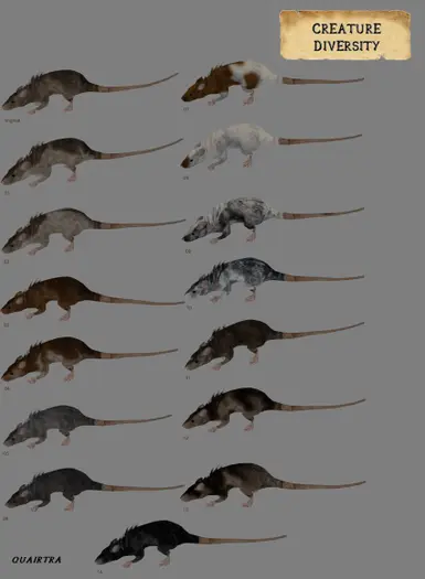 Rats