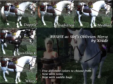 Xtudos alternate Bruses using Slofs horses