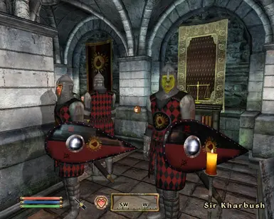 Order of Virtuous Blood Knights2