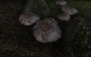 mushroom