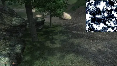 New shadows for trees