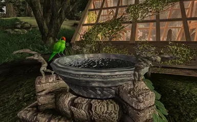 Bird Bath