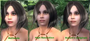 High Resolution Faces for Roberts Male and Female