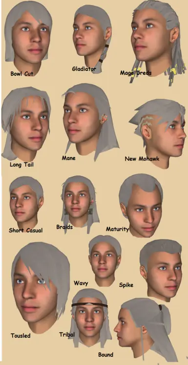 Male Hair Mod