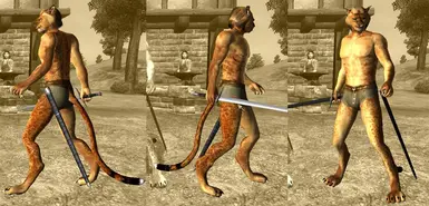 KATS - Khajiit Anatomical Transformation System