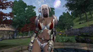 Skimpy Heavy Knight Armor