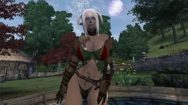 Skimpy Forester Armor