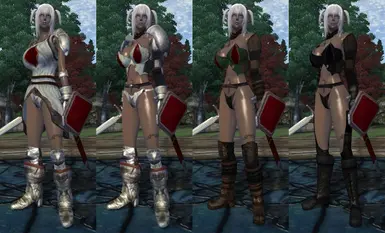 Knights Armors Skimpy Versions