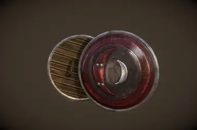 Skingrad Shield