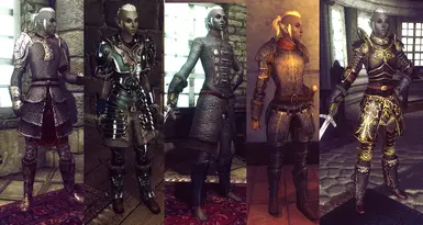 Assorted Protective Female Armors