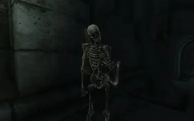 Skeleton Hero shader