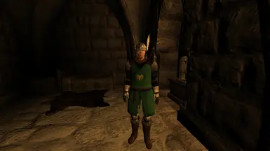 Markarth Gaurd Captin