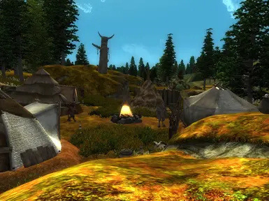 Colovian Highlands Camp 2