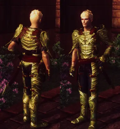 Elven armor replacer