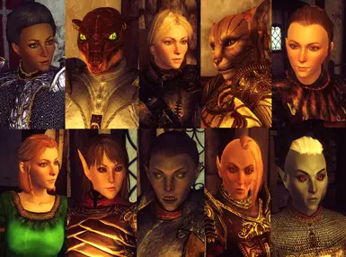 Oblivion Character Overhaul v203 - German