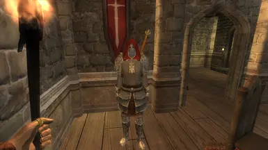 Skingrad