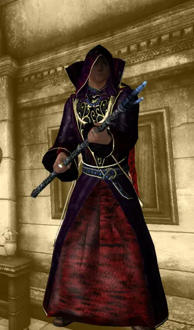 Arch-Mage's Robe and Hood