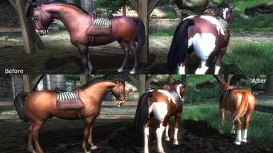 Natural Vanilla Horses