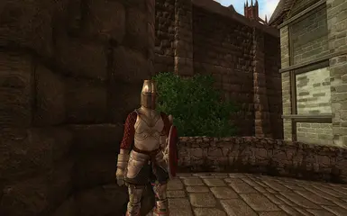 Skingrad Guard, with Full Helm as envisioned by Waalx, except not broken.